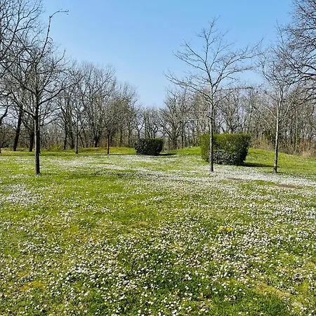 Mondesir The Little House And Its Bastide * Monflanquin